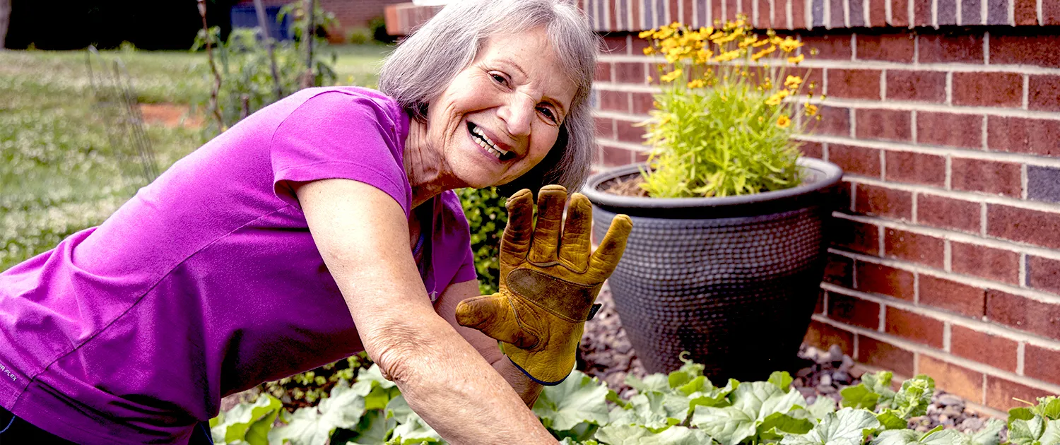 A resident tending a garden plot
